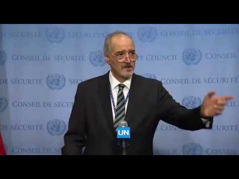 US-backed war crimes panel flagrant interference - Syria ambassador to UN 