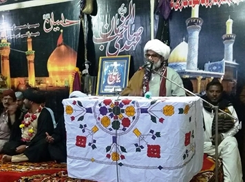 علامہ ناصر عباس جعفری: قومی اداروں کو حکمران ذاتی مقاصد کے لیے استعمال کر رہے ہیں