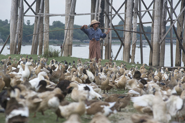 မႏၲေလးတုိင္းရွိ SME လုပ္ငန္းမ်ား FDA ေထာက္ခံခ်က္ရရန္ႏွင့္ စားသုံးရန္မသင့္ေသာ အစားအေသာက္မ်ား တင္သြင္းမႈ တားျမစ္ရန္ ပညာေပးေဆြးေႏြး