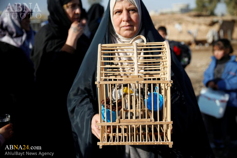 تصویری رپورٹ: موصل میں فوجی آپریشن کے دوسرے مرحلے کا آغاز