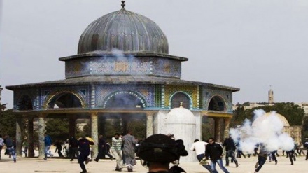 Rund 15.000 Israelis stürmten Al-Aqsa-Moschee im Jahr 2016