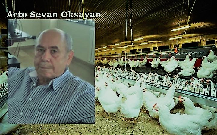 Азәрбајҹандан јумурта үчүн Түркијәјә ахан милјонлар ермәниләрә чатыр – Видео