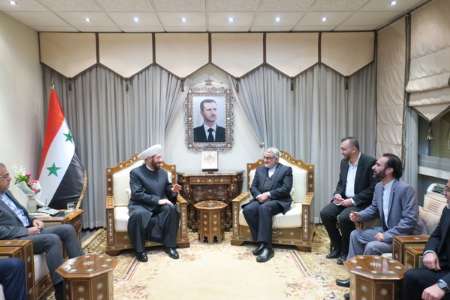 Terrorism could not bring Syrians to their knees: Grand Mufti