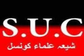 تحریک جعفریہ پاکستان پر عسکری ونگ ہونے کا الزام، شیعہ علماء کونسل کا مذمتی بیان