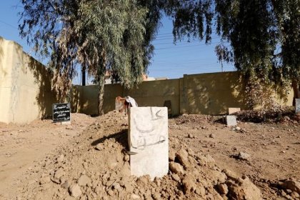 لەبن دار پرتەقاڵەکەی حەوشەکەیاندا نێژان 