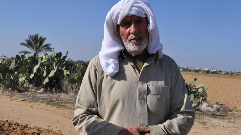 صیہونی فوجیوں نے فلسطینیوں کی زرعی زمینوں کی تباہی کے لئے کیمیا‍ ئی مواد کا استعمال