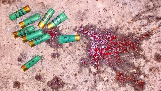 أعداد كبيرة من عناصر امنية تهاجم ساحة الاعتصام وتطلق النار على المدنيين