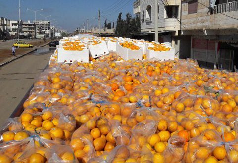 30 طنا من الحمضيات مجانا من محافظة اللاذقية لأهالي محافظة درعا