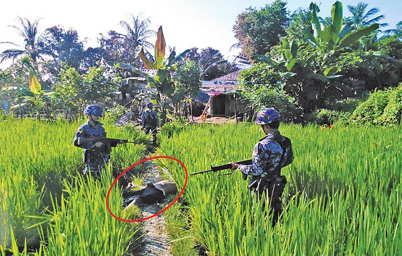 ေမာင္ေတာ အၾကမ္းဖက္မႈျဖစ္စဥ္တြင္ အရပ္သား ၁၃ ဦးေသ၊ ၅ ဦး ေပ်ာက္ဆံုး