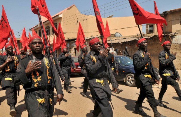 Nigerians Shiite have right to embark on peaceful protest for release of Sheikh Zakzaky