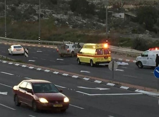 Elderly Palestinian killed in Israeli settler run-over attack