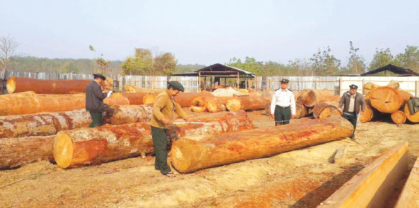 တရားမဝင္သစ္ထုတ္မႈႏွင့္ ေရာင္းခ်မႈမ်ားကို ေစာင့္ၾကည့္မည့္ သံုးပြင့္ဆုိင္အဖြဲ႕ဖြဲ႕မည္