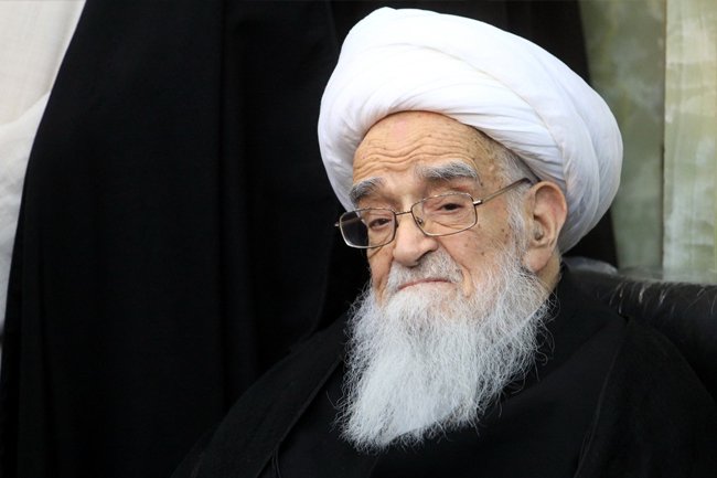 Ayatollah Safi praises Lebanese Mufti for not receiving unveiled French politician