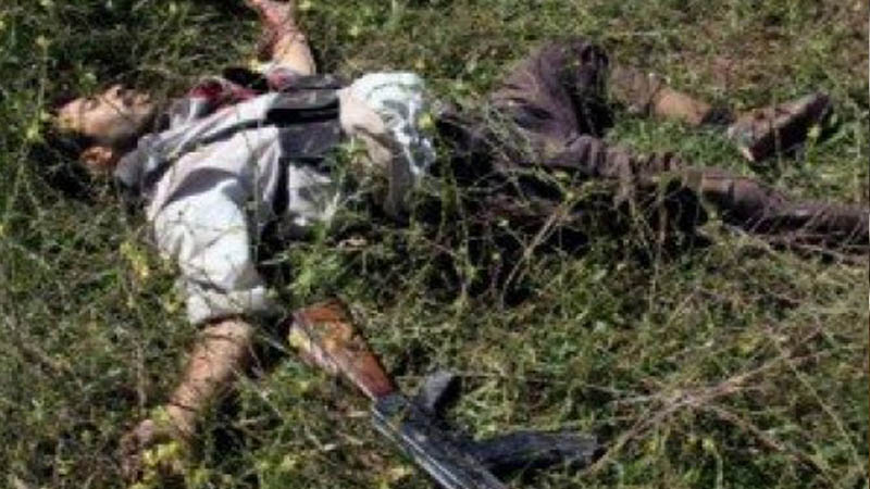  مقتل والي الجزيرة ومسؤول تجنيد الانغماسيين في غارة جوية بتلعفر