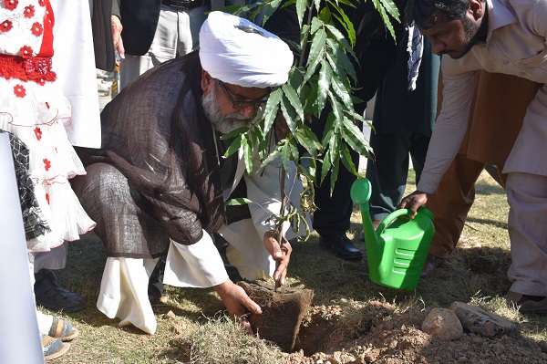 وحدت یوتھ پاکستان کے تحت شجرکاری مہم کا آغاز+ تصویریں