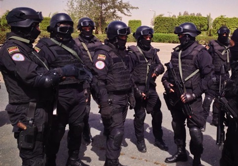 مصر : ضبط خلية "إرهابية" قبل استهدافها "هدفا حيويا"