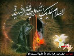 خواتین اگر حضرت فاطمہ زہرا (س) کی زندگی کو اپنے لئے اسوہ بنالیں تو انکے تمام مشکلات برطرف ہوجائیں گے، مولانا شبیر