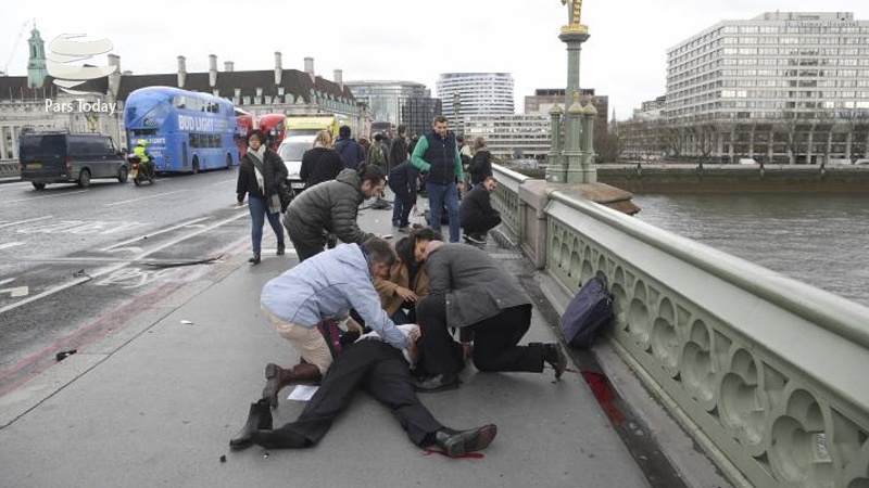 英国穆斯林委员会主席谴责伦敦恐袭事件