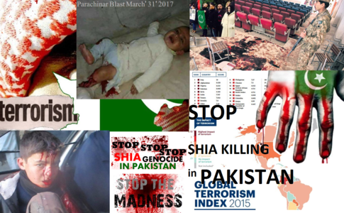 Campaign to save Pakistani Shia Muslims from terror; sign petition online