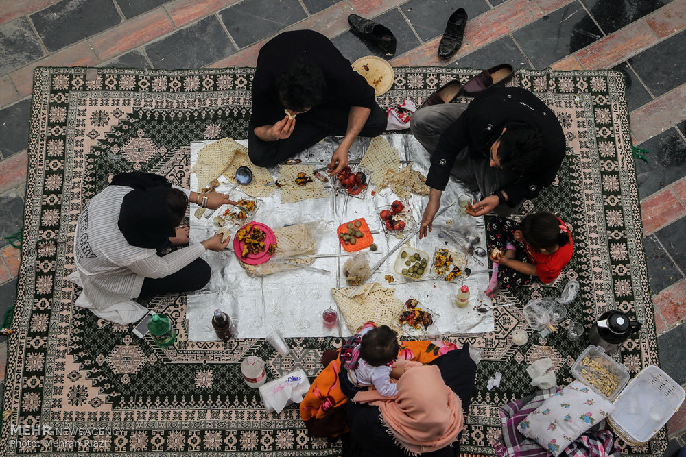 تصویری رپورٹ: ایران کے دارالحکومت تہران میں یوم نیچر منایا گیا