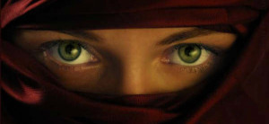 Antrag zum Burka-Verbot abgelehnt