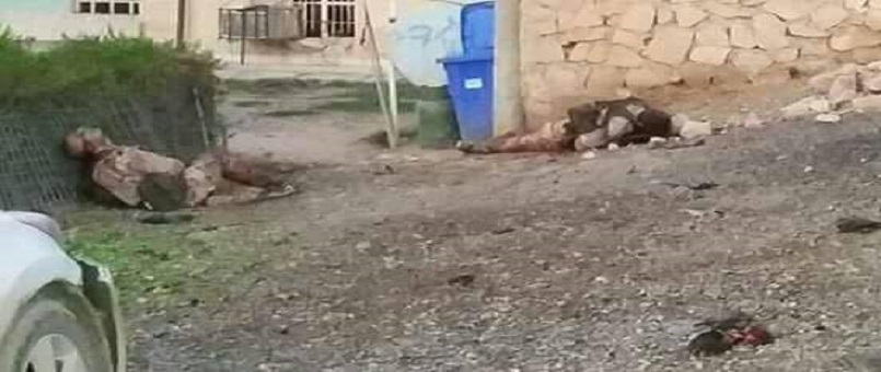 Iraklı Köylüler ''2 Canlı Bombayı'' Etkisiz Hale Getirdi / Foto