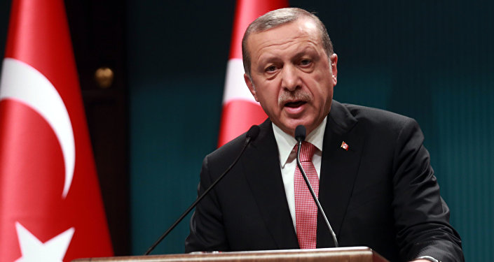 Turkey would support U.S. military action in Syria: Erdogan