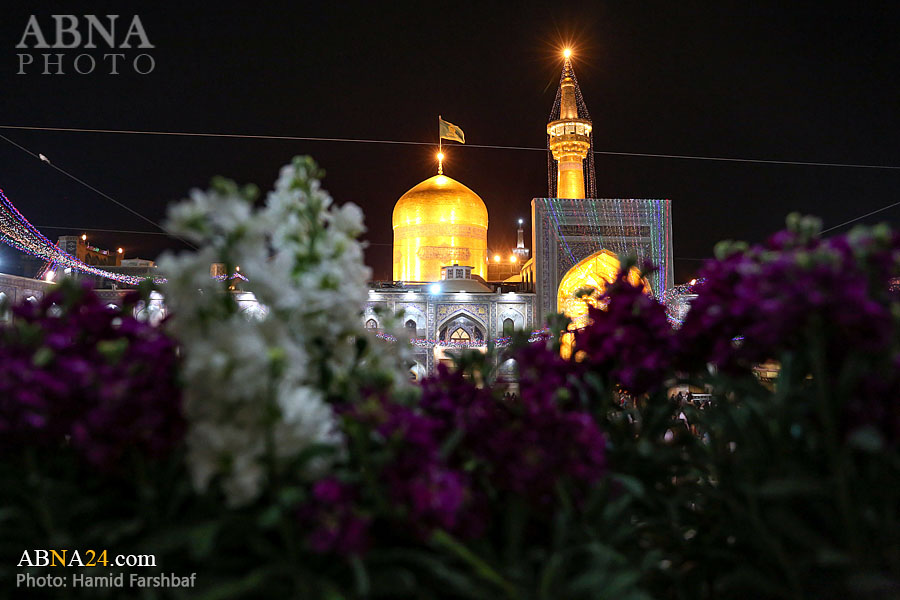 تقرير مصور/ تزيين حرم الامام الرضا (ع) في مناسبة ولادة الامام الجواد (ع)