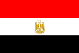 مصر کی یمن میں 40 ہزار فوجی بھیجنے کی تردید