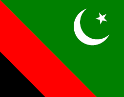 مجلس وحدت مسلمین نے مجلس شیعہ علماء پاکستان کے قیام کا اعلان کر دیا