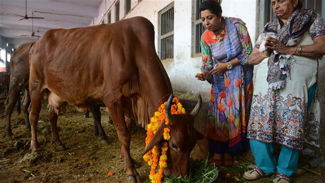 Suspected Hindu cow protection 'goons' attack Muslim family in Kashmir