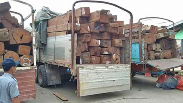​ေရပူတြင္​ တရားမ၀င္ ပိ​ေတာက္​သစ္​တင္ ၁၂ ဘီးကား ၅ စီး ထပ္​မံဖမ္​းဆီးရမိ