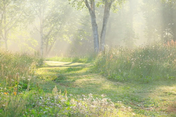 預言者アーダム（AS）①神によるアーダム（AS）の創造