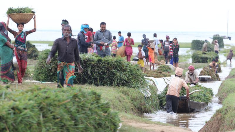 ৫০ লাখ হাওরবাসী তীব্র খাদ্যঝুঁকির মুখে 