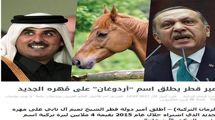 امیر قطر نے ترک صدر کے عشق میں اپنے گھوڑے کا نام اردوغان رکھ دیا