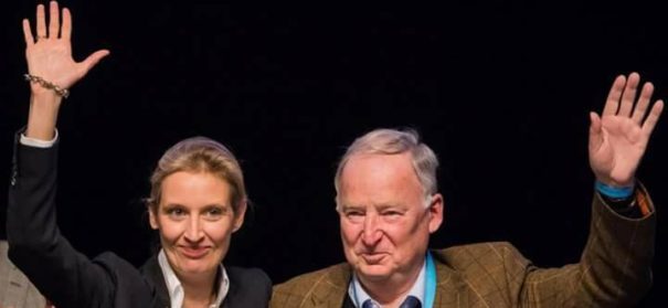 AfD verabschiedet Wahlprogramm
