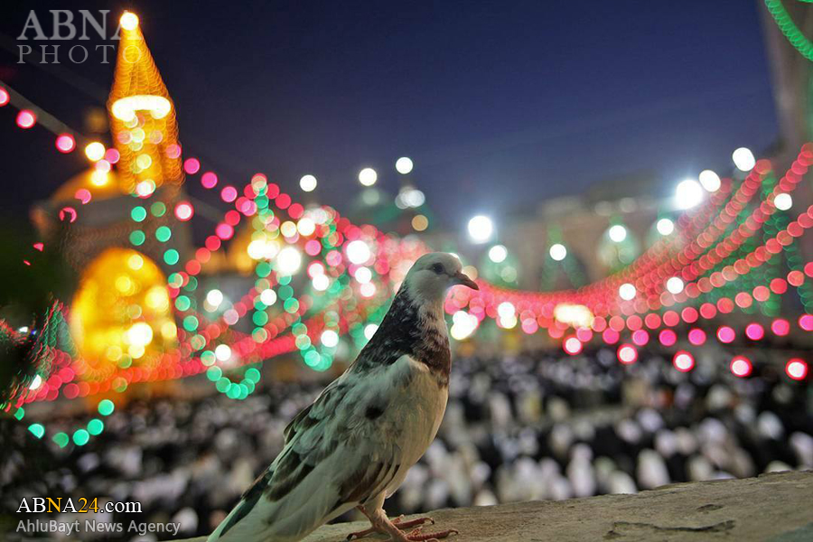 تقرير مصور/ أيام شعبانية في حرم الامام الرضا (ع) 