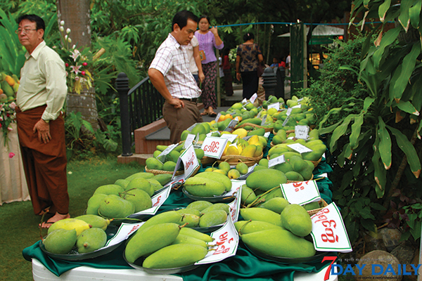 ျမန္မာသရက္သီးမ်ား ဂ်ပန္၊ ယူေအအီးႏွင့္ ႐ုရွားေစ်းကြက္သို႔ ယခုႏွစ္အတြင္း တင္ပို႔ႏုိင္မည္