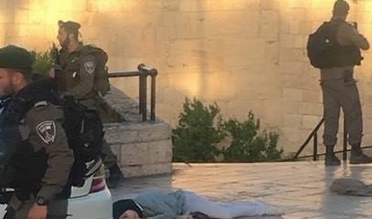 إستشهاد فتاة فلسطينية بعد أن أمطرها جنود الاحتلال بـ 20 رصاصة قرب باب العمود بالقدس