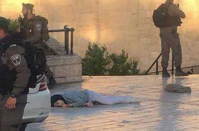 القوات الإسرائيلية قتلت الشهيدة "فاطمة حجيجي" دون مبرر