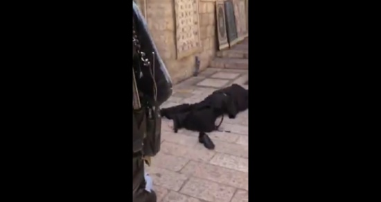 فيديو / طعن شرطي إسرائيل على يد شاب فلسطيني في القدس القديمة
