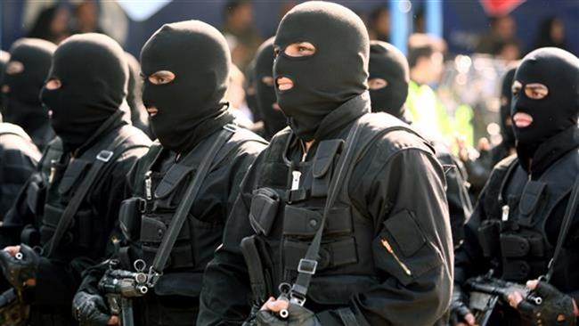 Iran's intelligence forces foil terrorist team plot