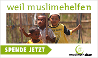 Wo bleibt der Schutz ?