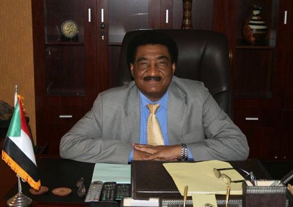 سفير السودان لدى مصر: وجود مدرعات مصرية في دارفور صحيح