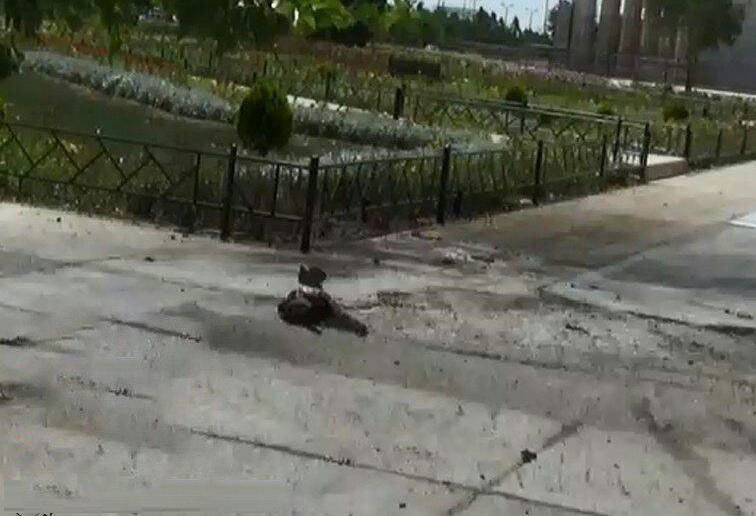 داعش الوحشي يعلن مسؤوليته عن الهجوم الارهابي على البرلمان الايراني