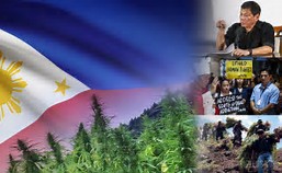 Anak ng alkalde tiklo sa droga at baril 
