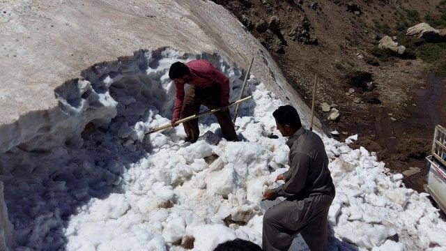 سكان قضاء "جومان" يجمعون الثلج بجبال أربيل في شهر رمضان المبارك+(صور)