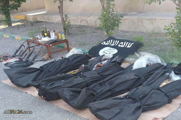 Iranian forces kill 4 ISIS terrorists in southern province / Pics