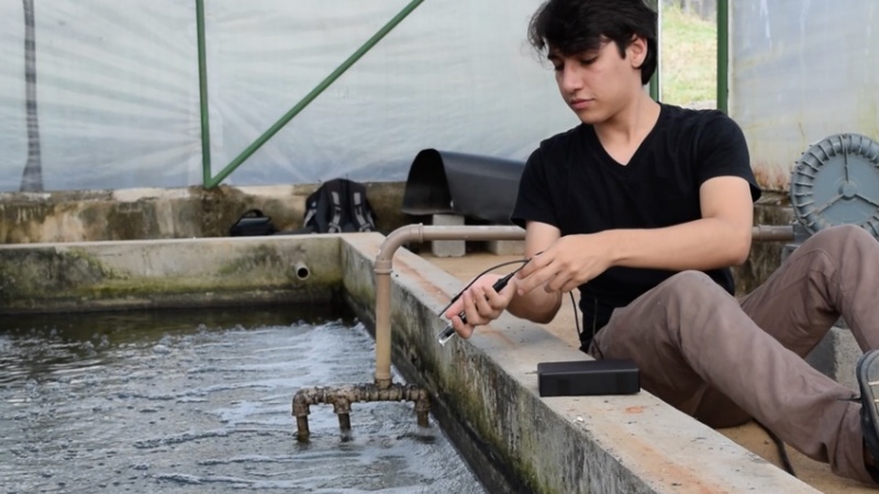 Projeto para otimizar produção de peixes representa o Brasil em 'Copa do Mundo' da tecnologia