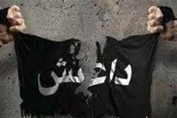 پاکستان اور افغانستان کو ملکر داعش پر قابو پانا ہوگا